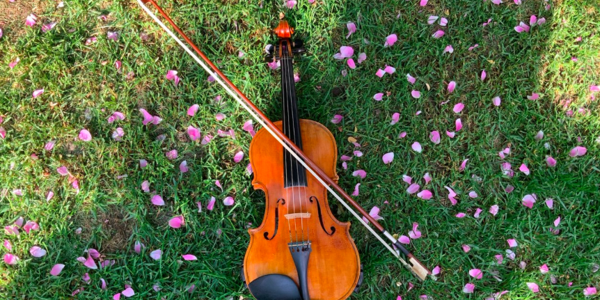 Ottawa Fiddleheads Academy